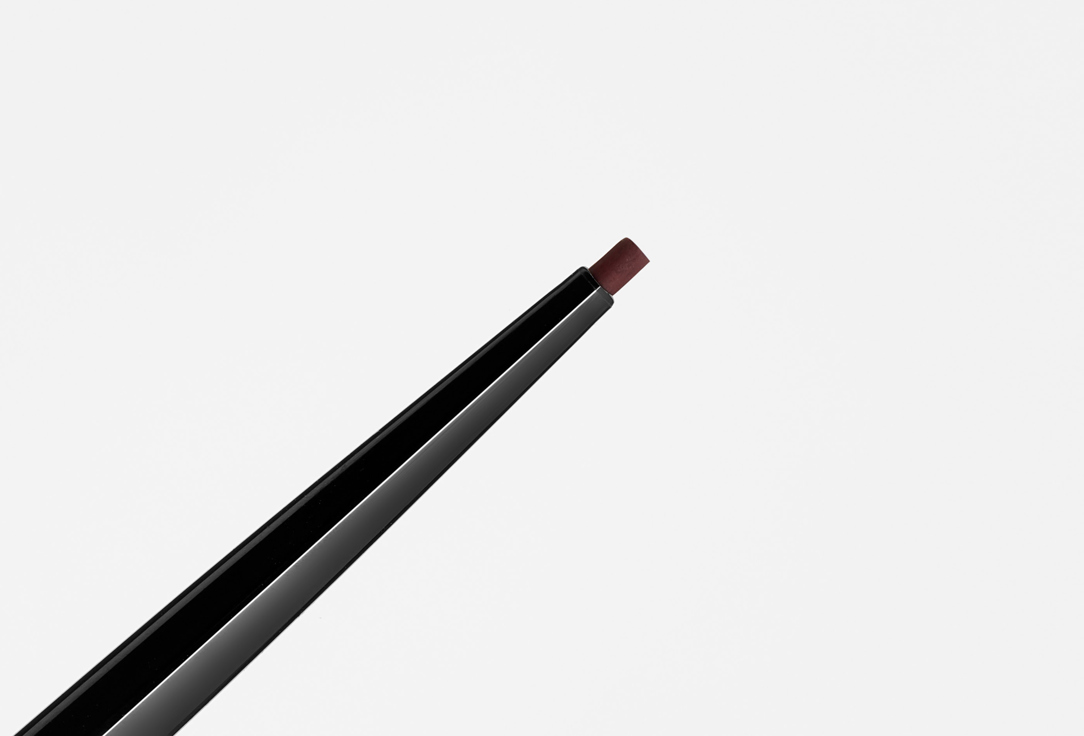 Shiseido Fine eyeliner pencil Microliner ink