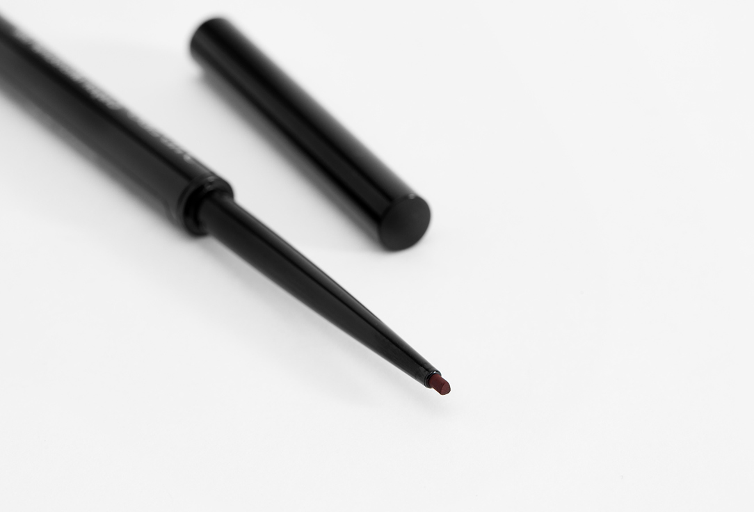 Shiseido Fine eyeliner pencil Microliner ink