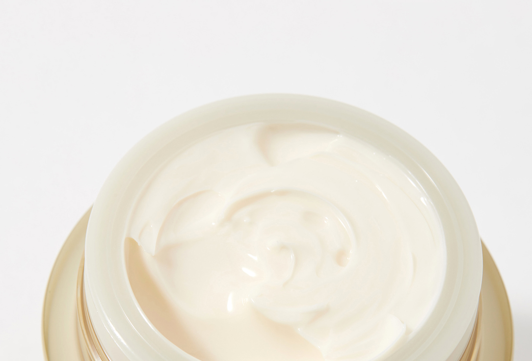 Shiseido Hydrating Face Moisturizer Waso Shikulime