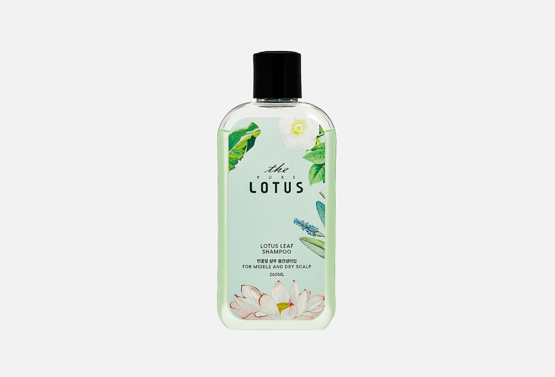 Shampoo for sensitive and dry scalp THE PURE LOTUS Lotus Leaf Shampoo for Middle & Dry scalp 