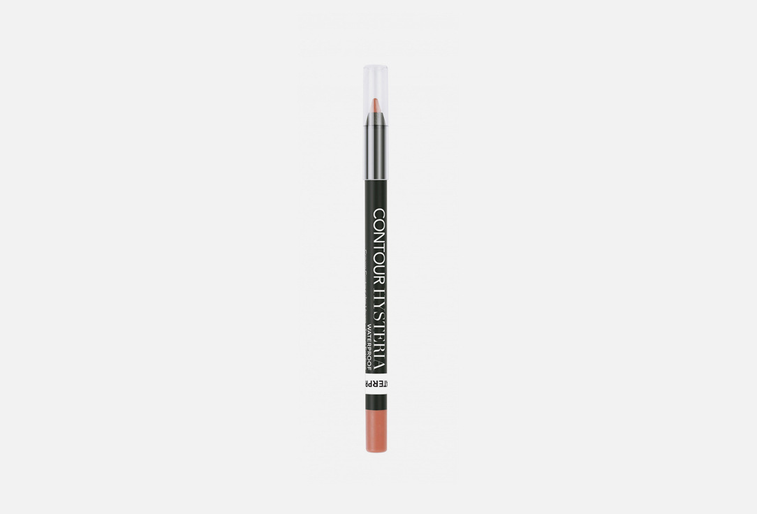 ARCANCIL Waterproof  matte, ultra Pigmented Lip pencil Contour hysteria