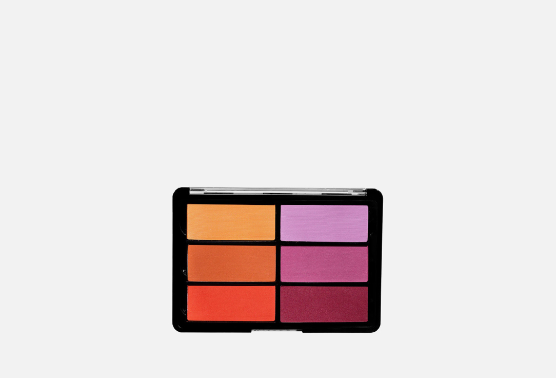 VISEART Blush Palette Orange Violet