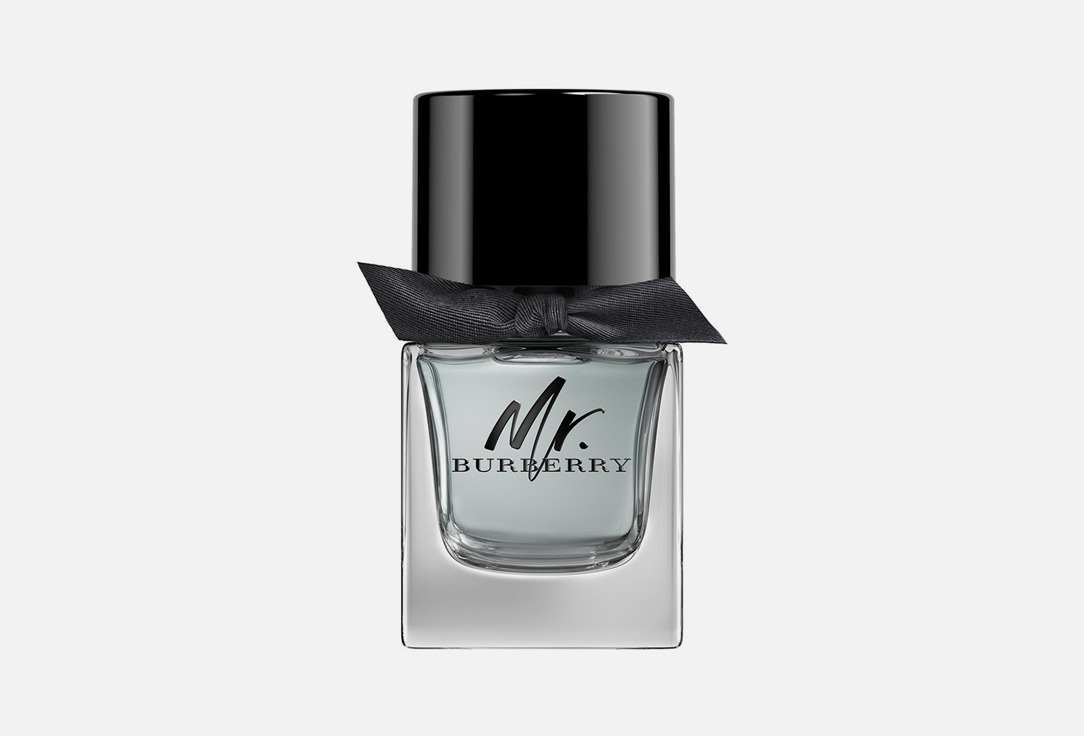 Burberry Eau de Toilette Mr. Burberry