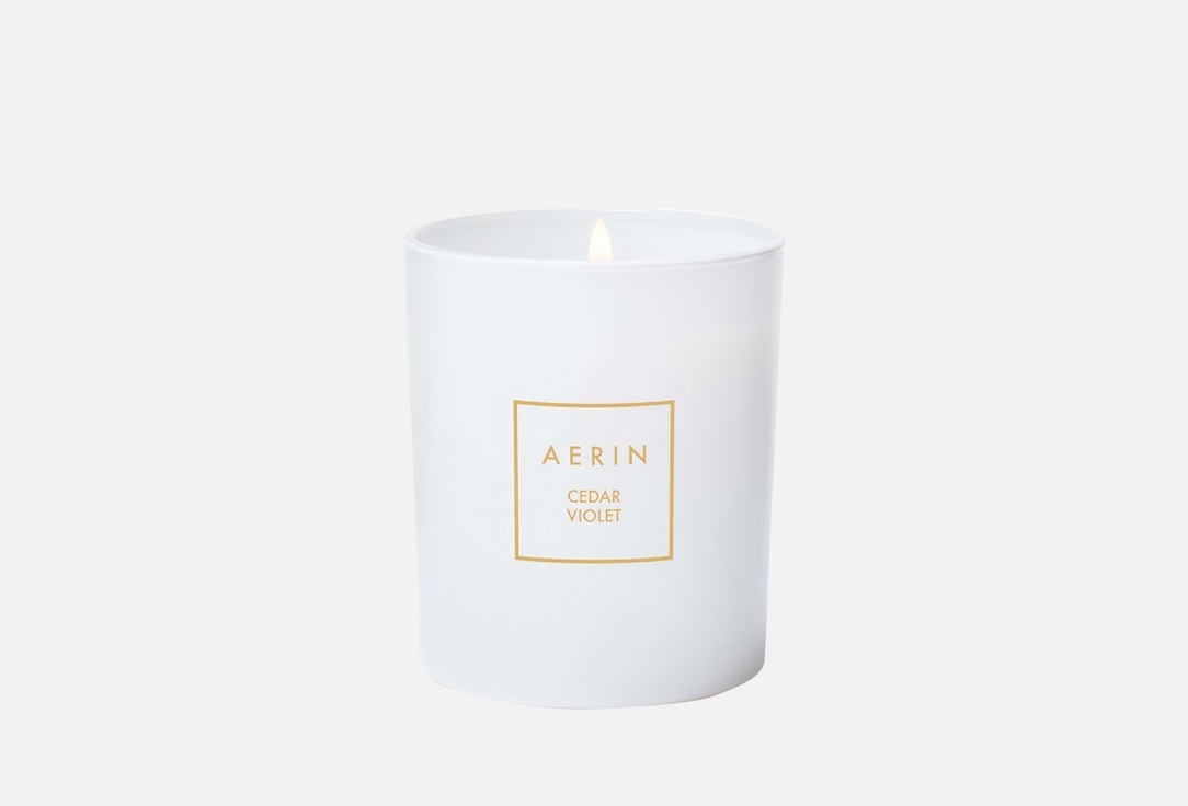 AERIN SCENTED CANDLE  Cedar Violet