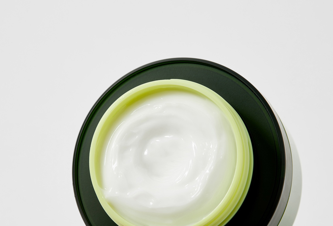 Tony Moly Moisturizing face cream with green tea extract The Chok Chok 